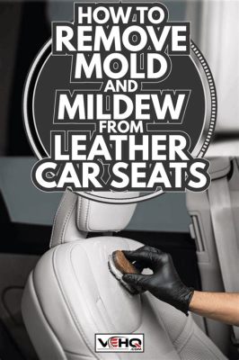 How to Remove Mold from Leather Car Seats: A Comprehensive Guide and the Curious Case of Leather's Resilience